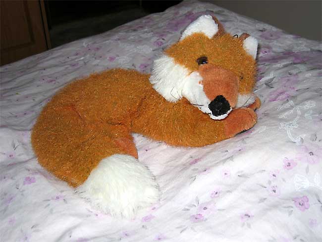 Liška v posteli, že není kam lehnout.
