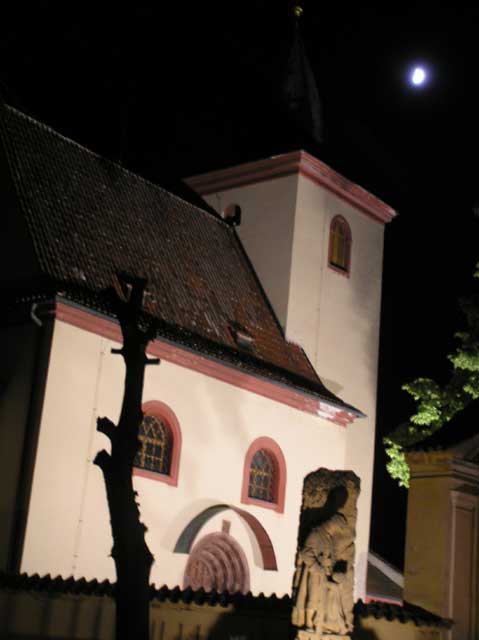 P6030054