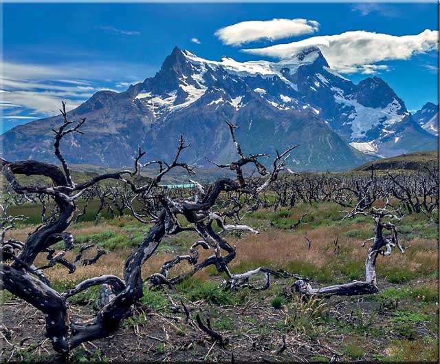 pozůstatky požáru po návštěvě českého turisty v NP Torres del Paine, Chile
