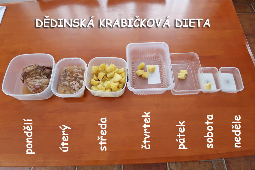 Krabičková dieta dle Magdaleny Dobromily Rettigová